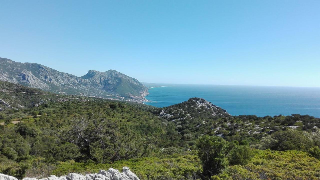 Naramanue Dorgali Exterior foto